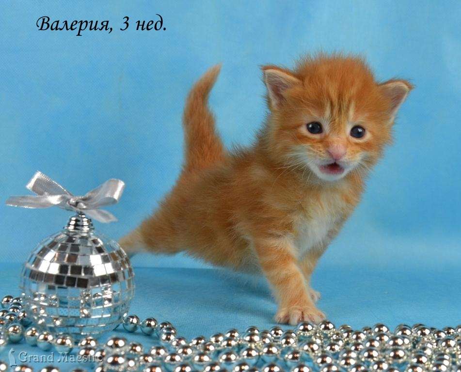 Валерия, 3 нед.