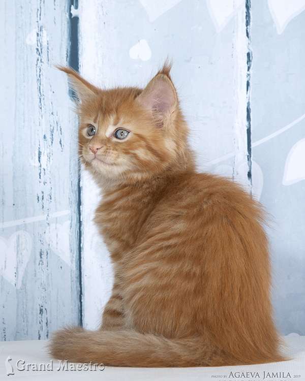 Флоренс, 1.5 мес.
