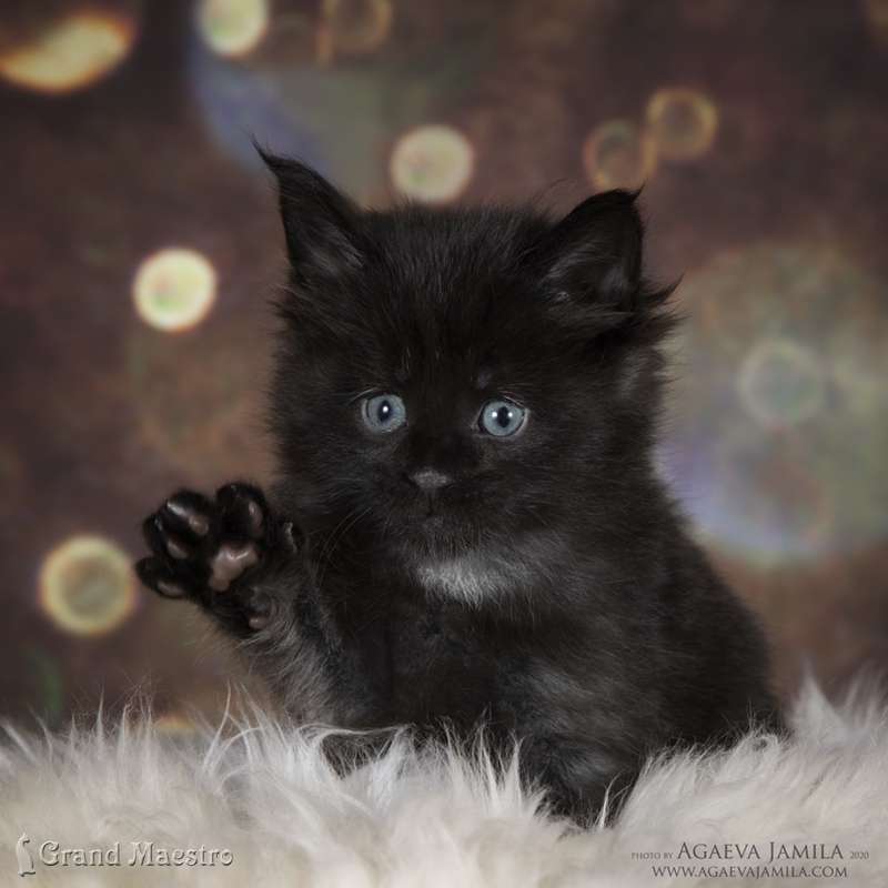 Космас, 1 мес.