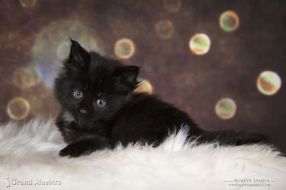 Космас, 1 мес.