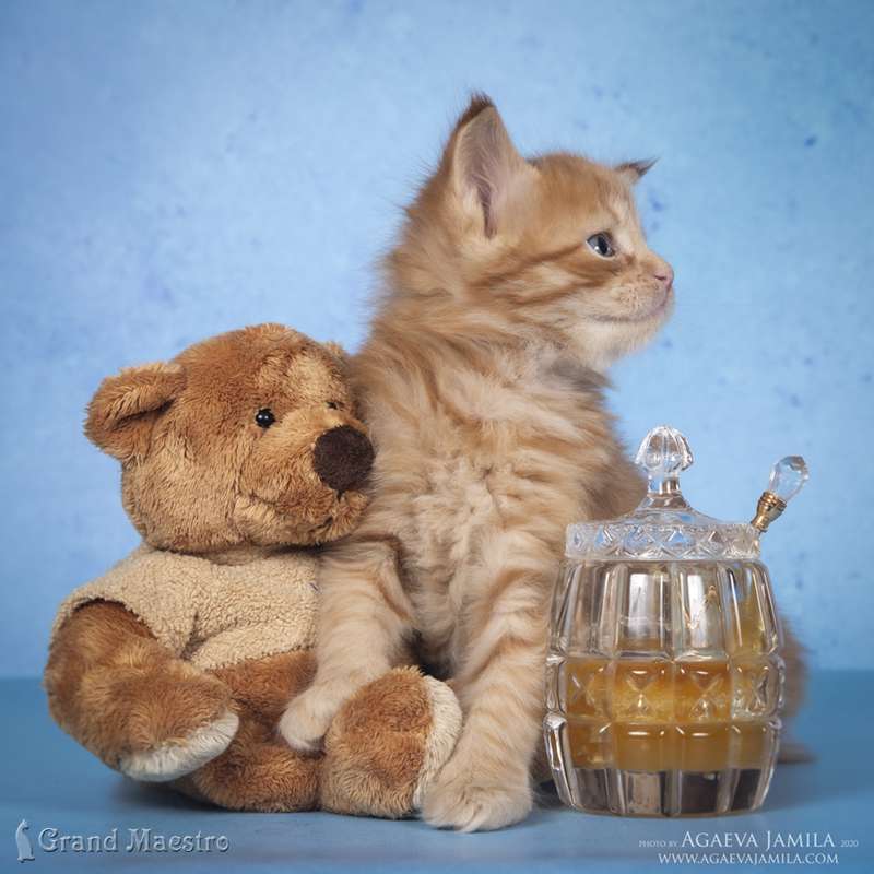 Никас, 1 мес.