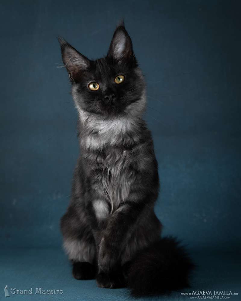 Агнесса, 4.5 мес.