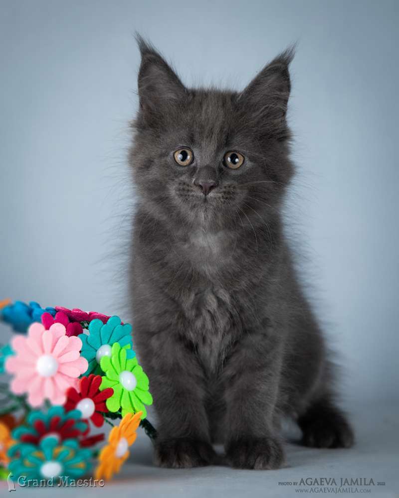 Катрин, 2.5 мес.