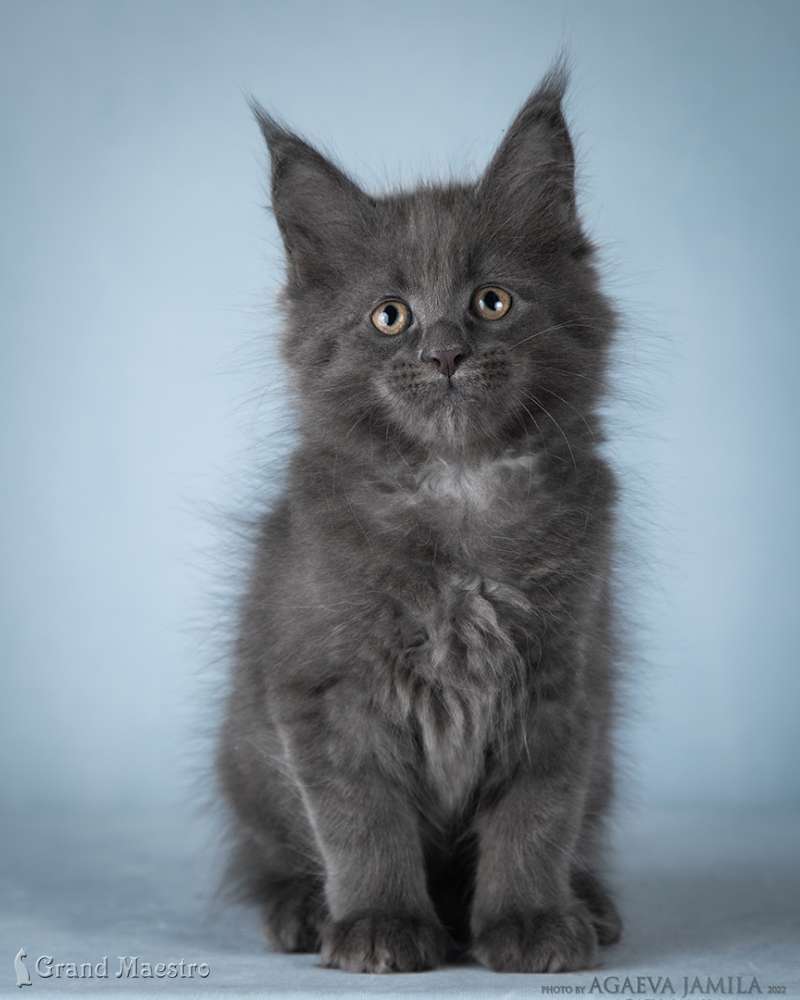 Катрин, 2.5 мес.