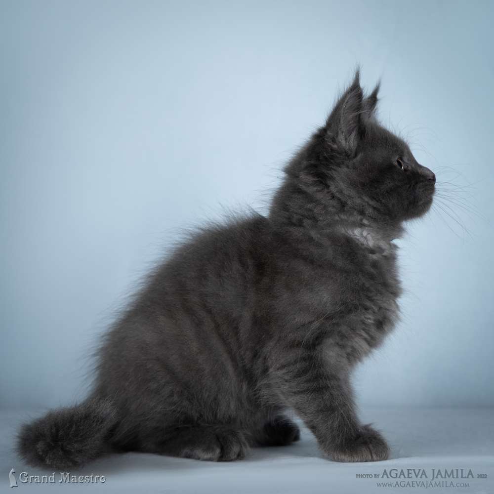 Катрин, 2.5 мес.