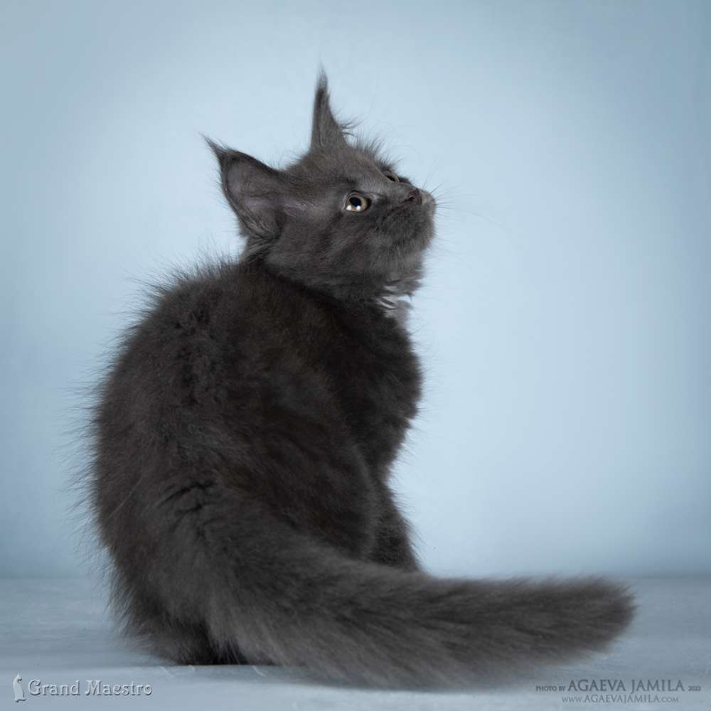 Катрин, 2.5 мес.