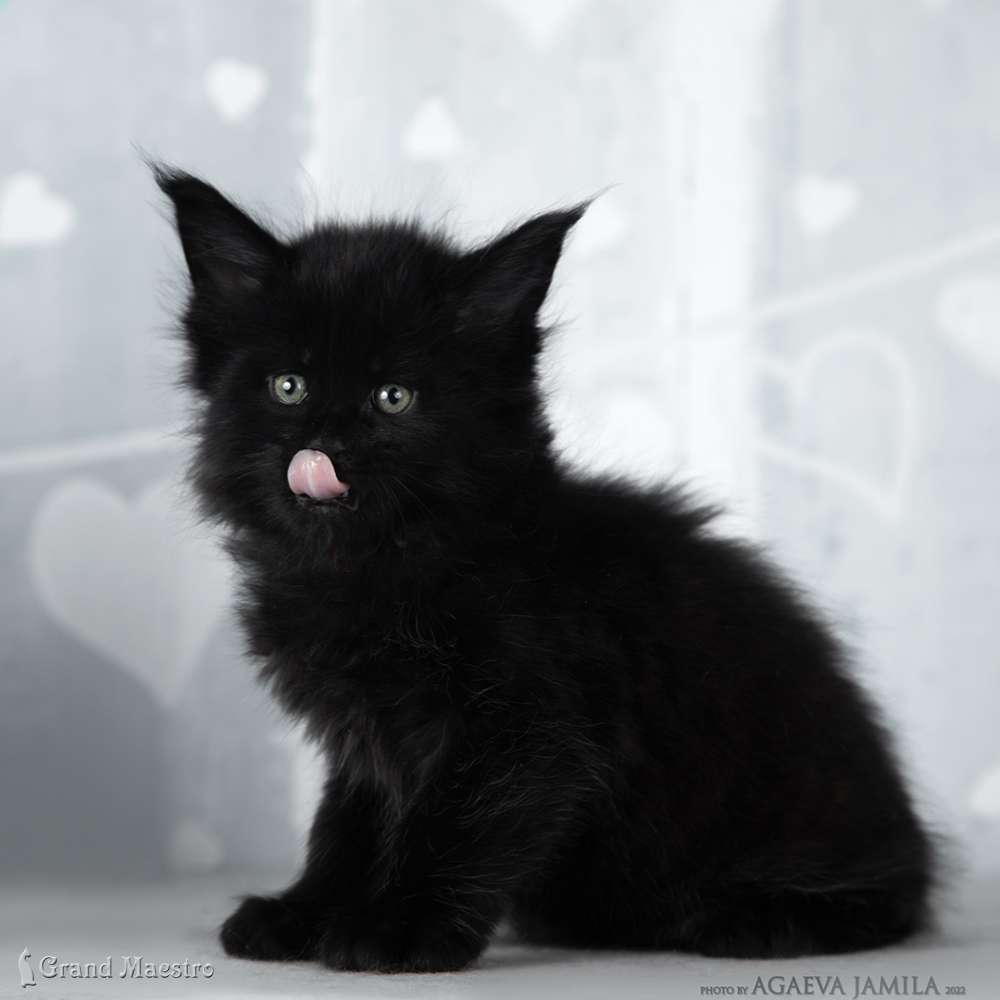 Эдвин, 1 мес.