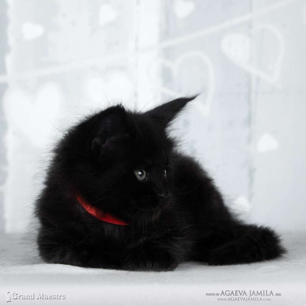 Эдвин, 1 мес.