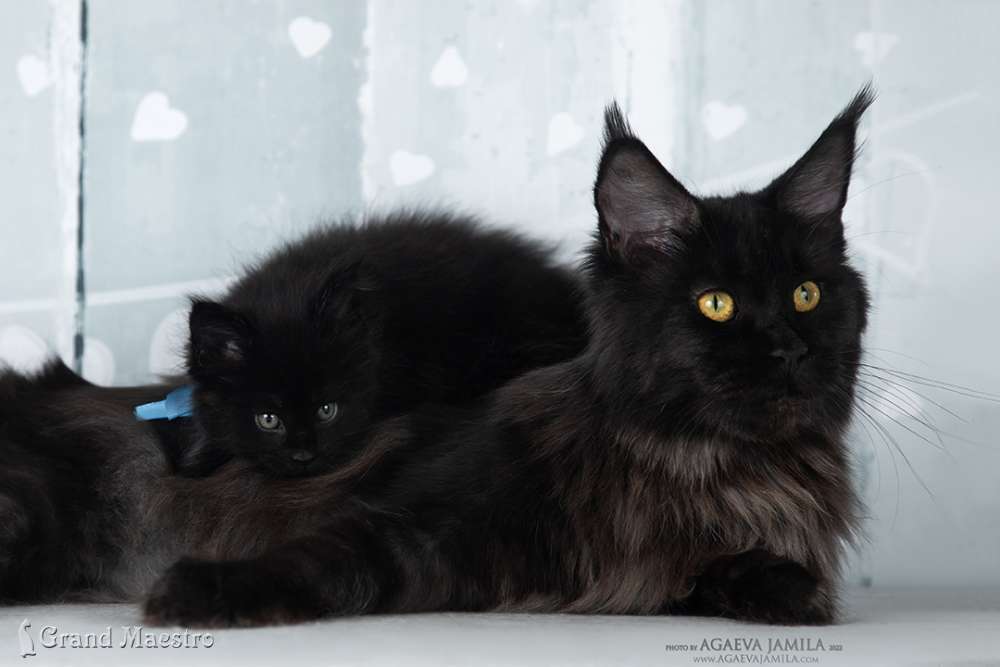 Эминем с мамой, 1 мес.