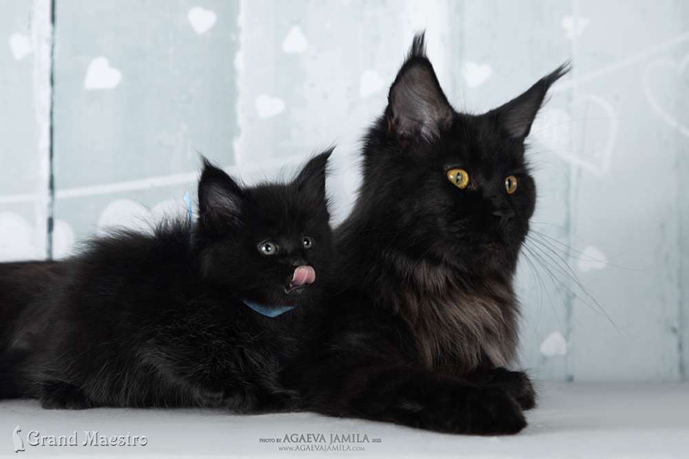 Эминем с мамой, 1 мес.