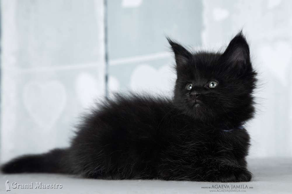 Эминем, 1 мес.