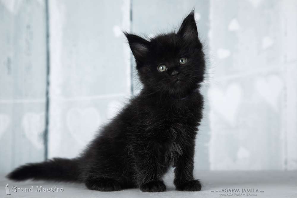 Эминем, 1 мес.