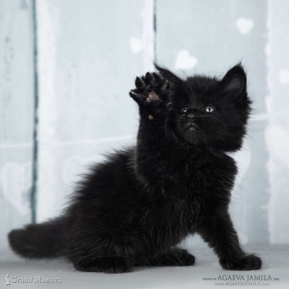 Эминем, 1 мес.