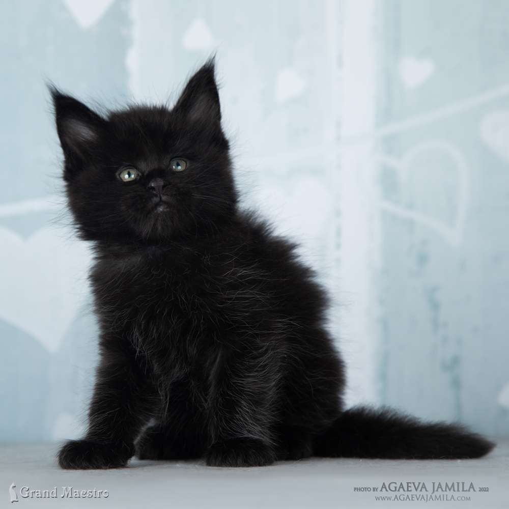 Эминем, 1 мес.