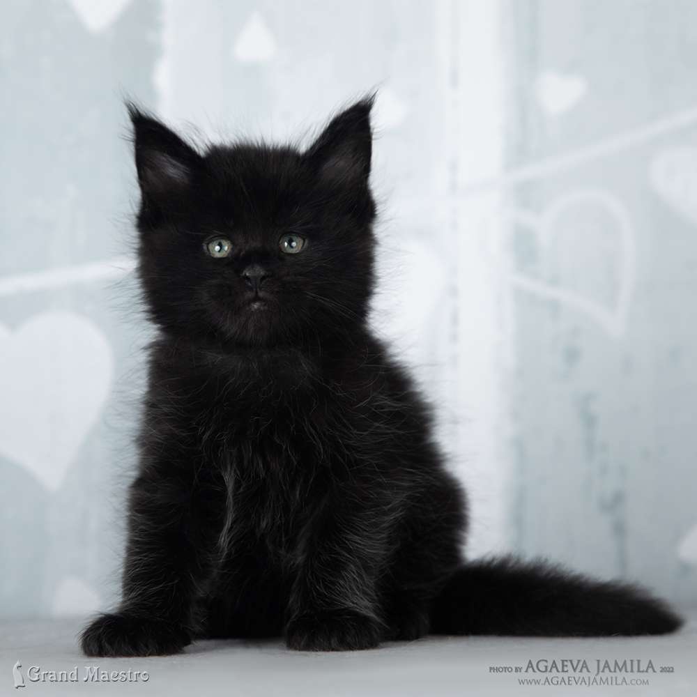 Эминем, 1 мес.
