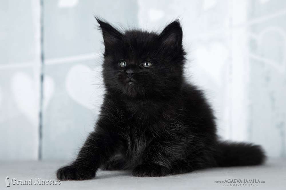 Эминем, 1 мес.