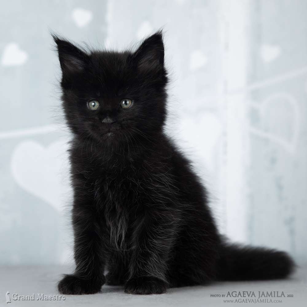 Эминем, 1 мес.
