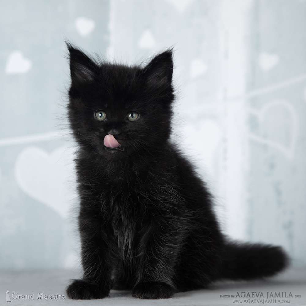 Эминем, 1 мес.