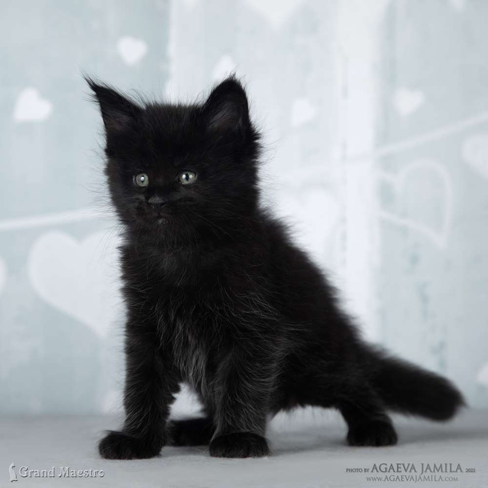 Эминем, 1 мес.