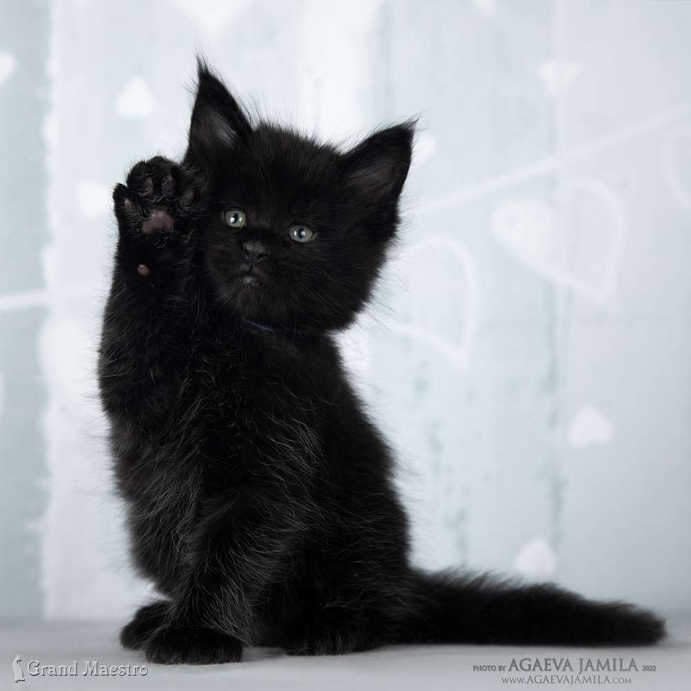 Эминем, 1 мес.