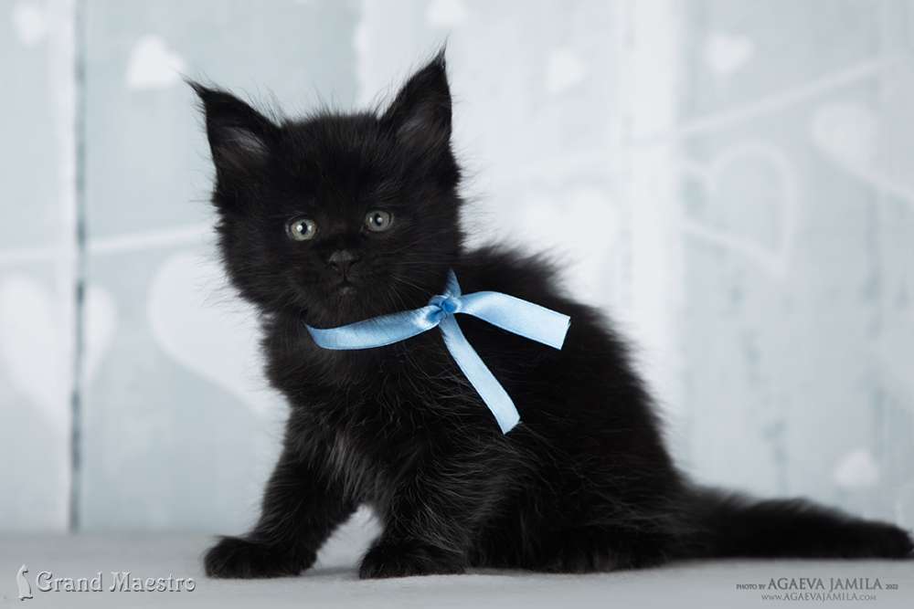 Эминем, 1 мес.