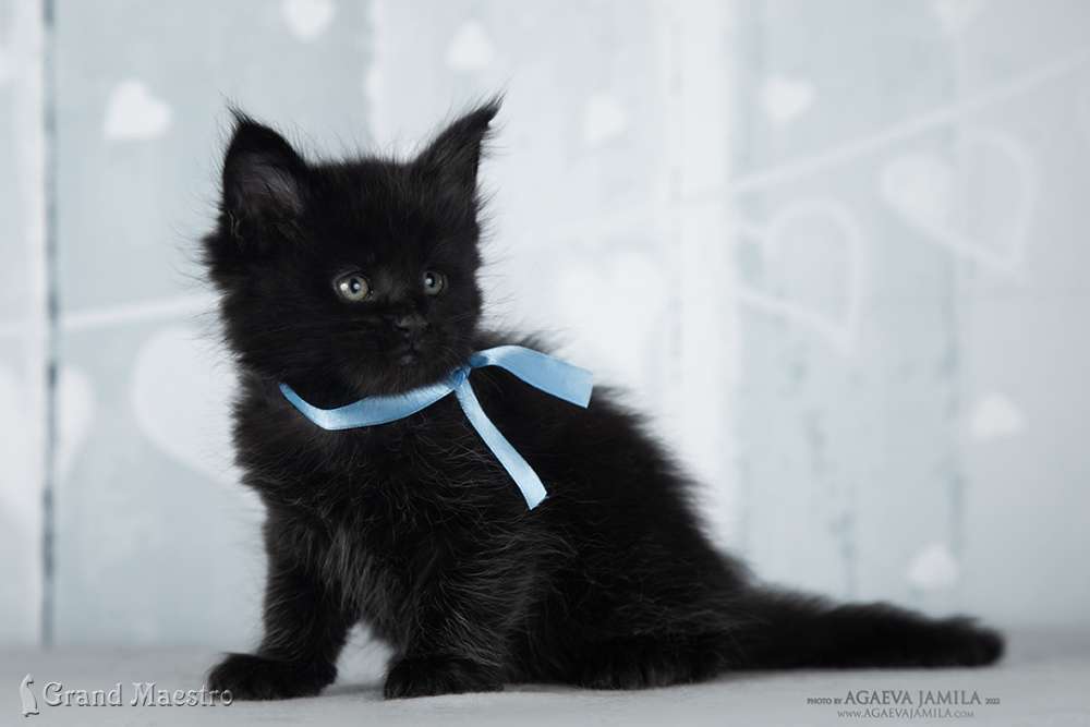 Эминем, 1 мес.