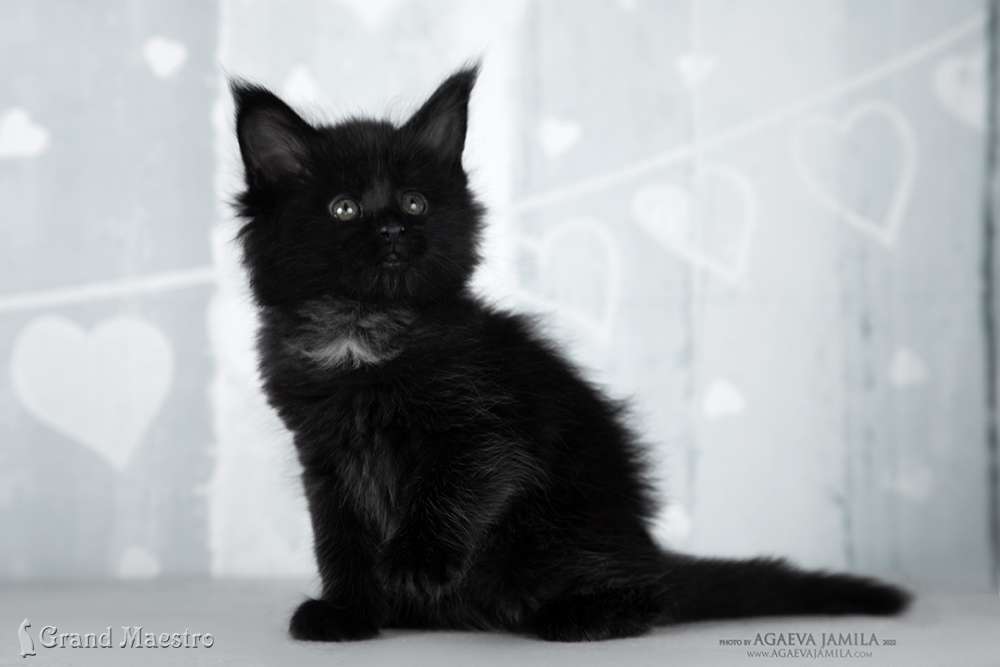 Эвелина, 1 мес.