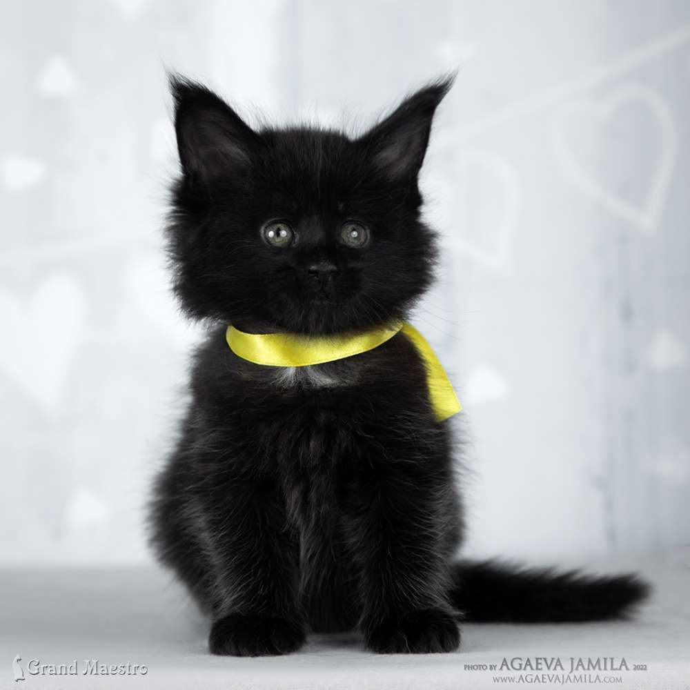 Эвелина, 1 мес.