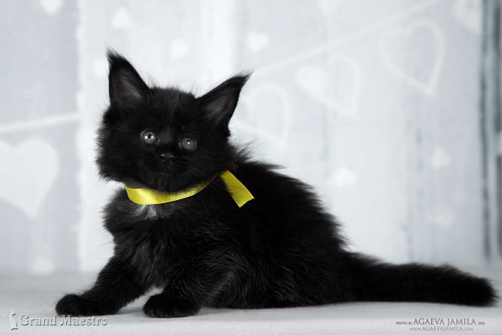 Эвелина, 1 мес.