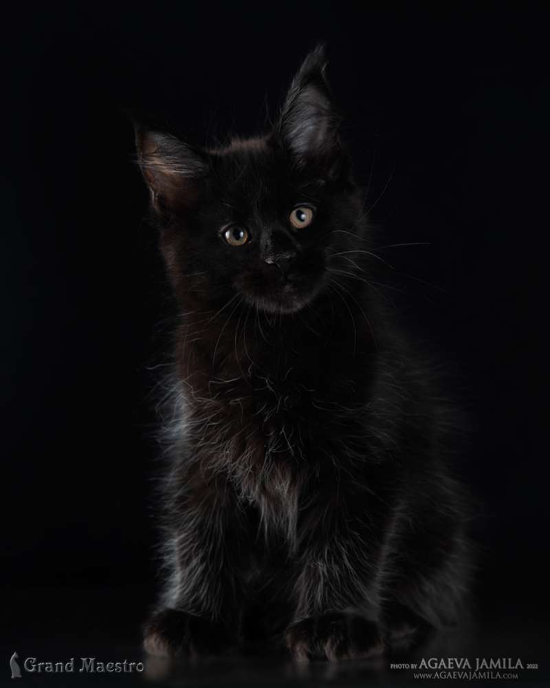 Эминем, 2 мес.
