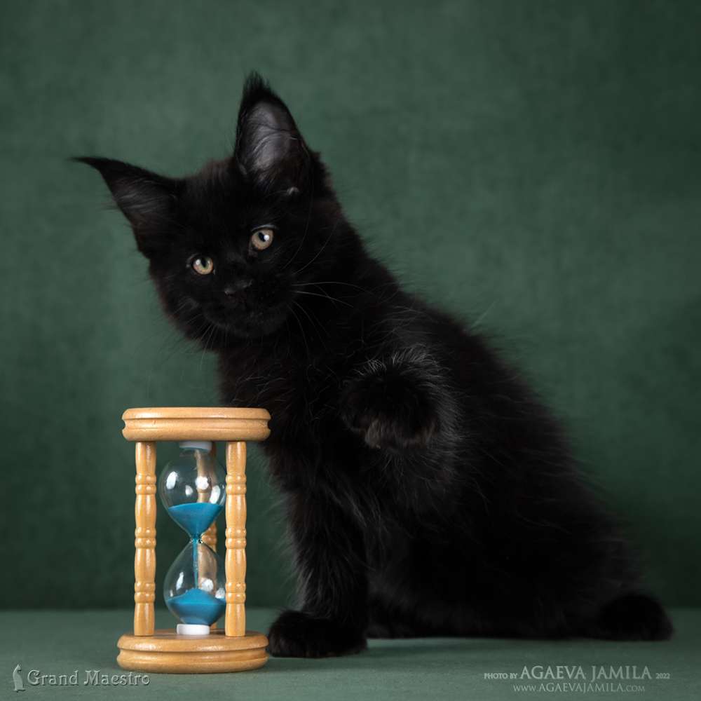 Эминем, 2 мес.