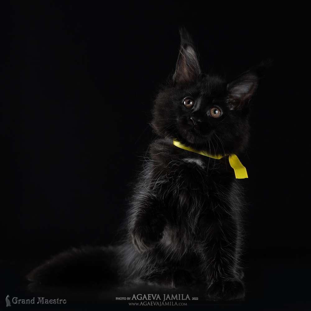Эвелина, 2 мес.
