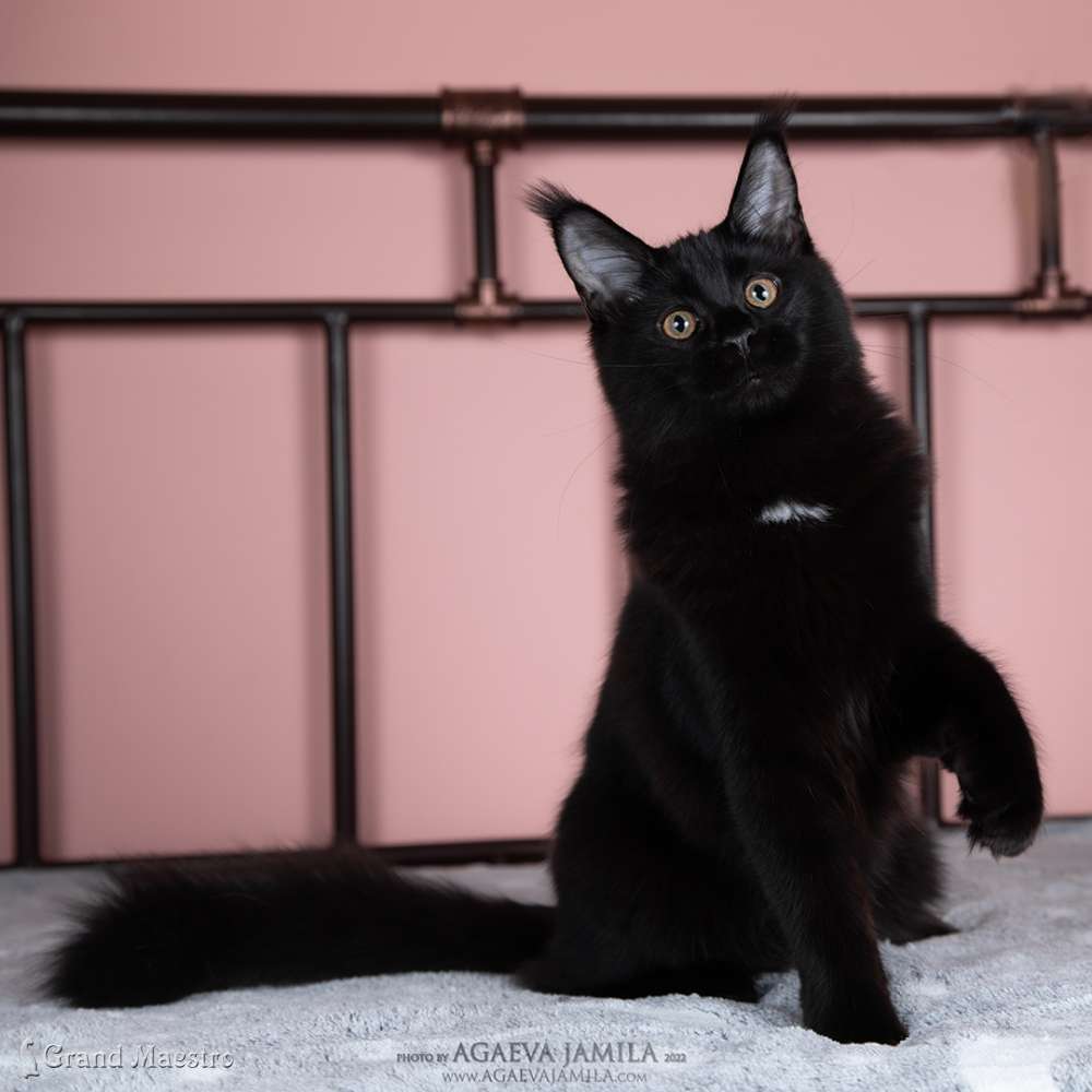 Эвелина, 4.5 мес.