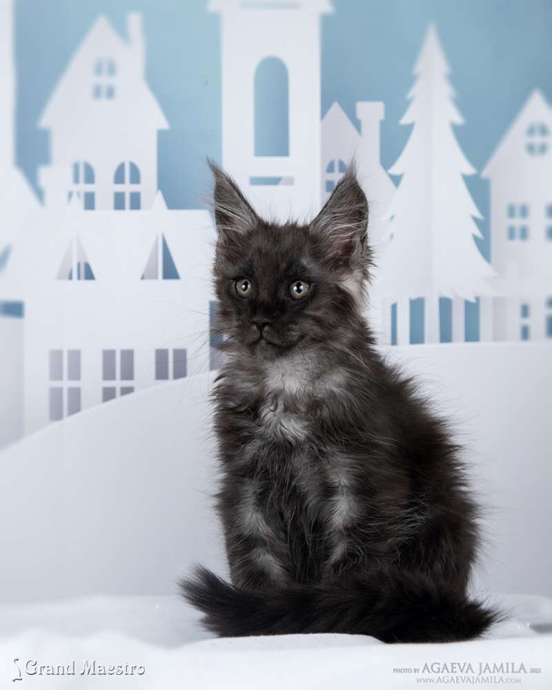 Нильс, 2.5 мес.