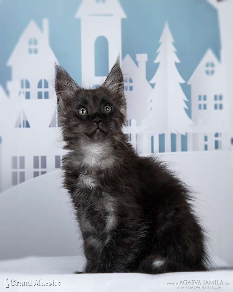Нильс, 2.5 мес.