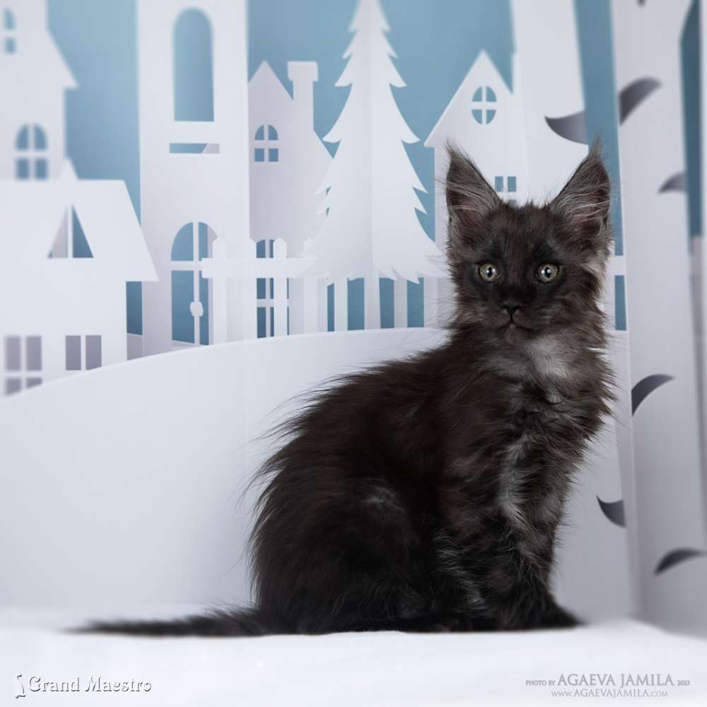 Нильс, 2.5 мес.