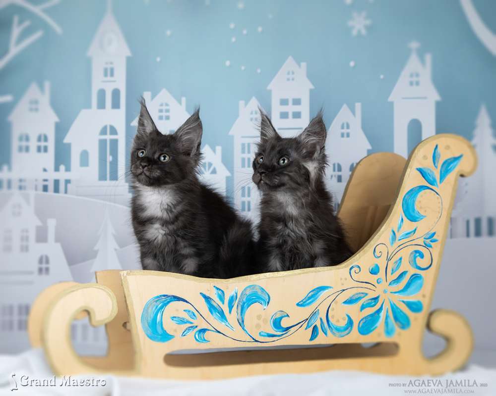 Наоми и Нильс, 2.5 мес.