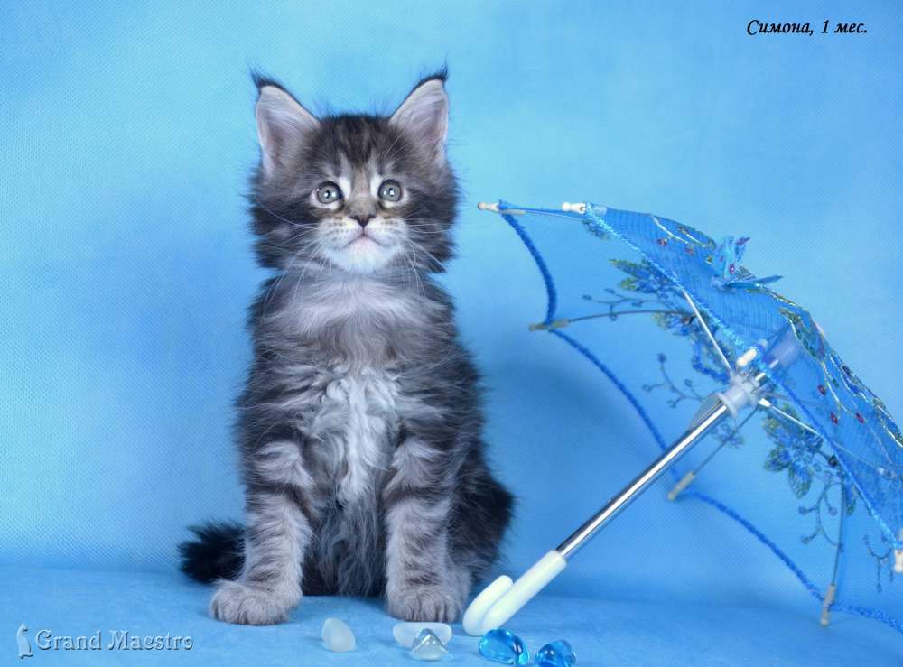 Симона, 1 мес.