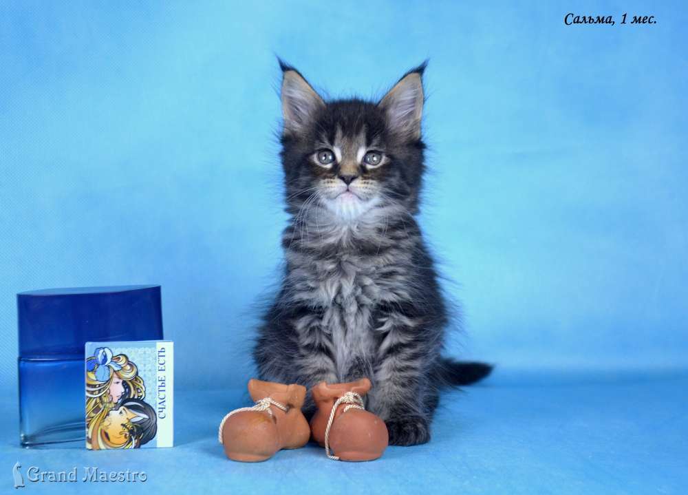 Сальма, 1 мес.