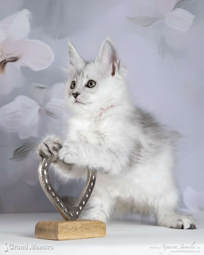 Вивиана, 2 мес.