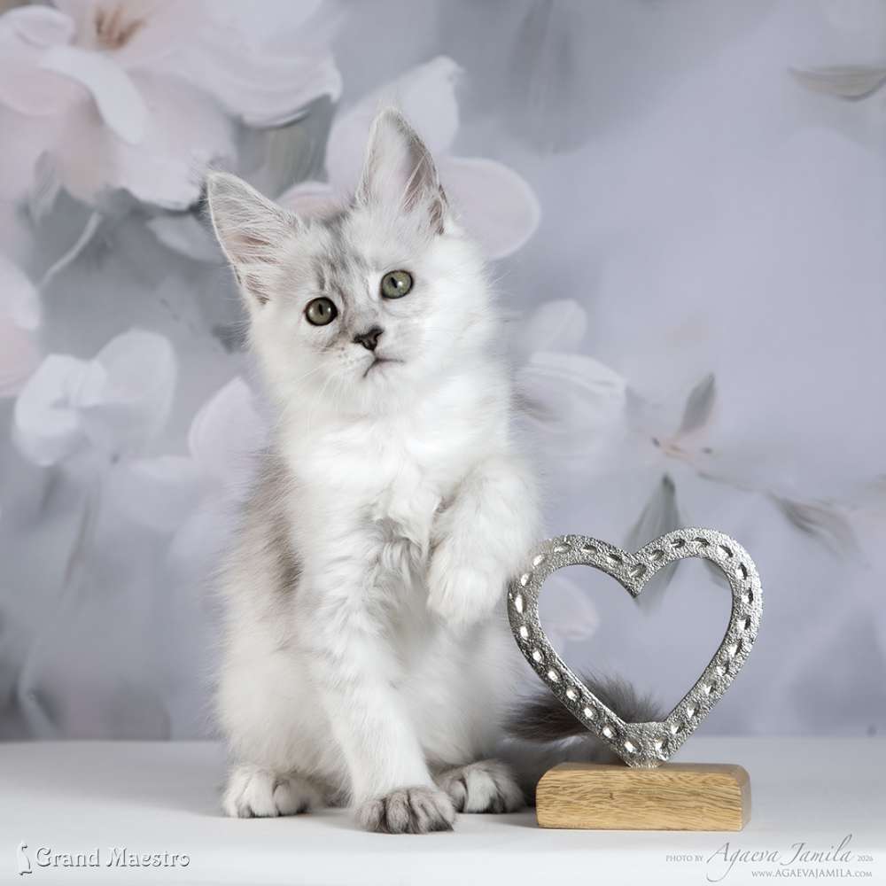Вивиана, 2 мес.