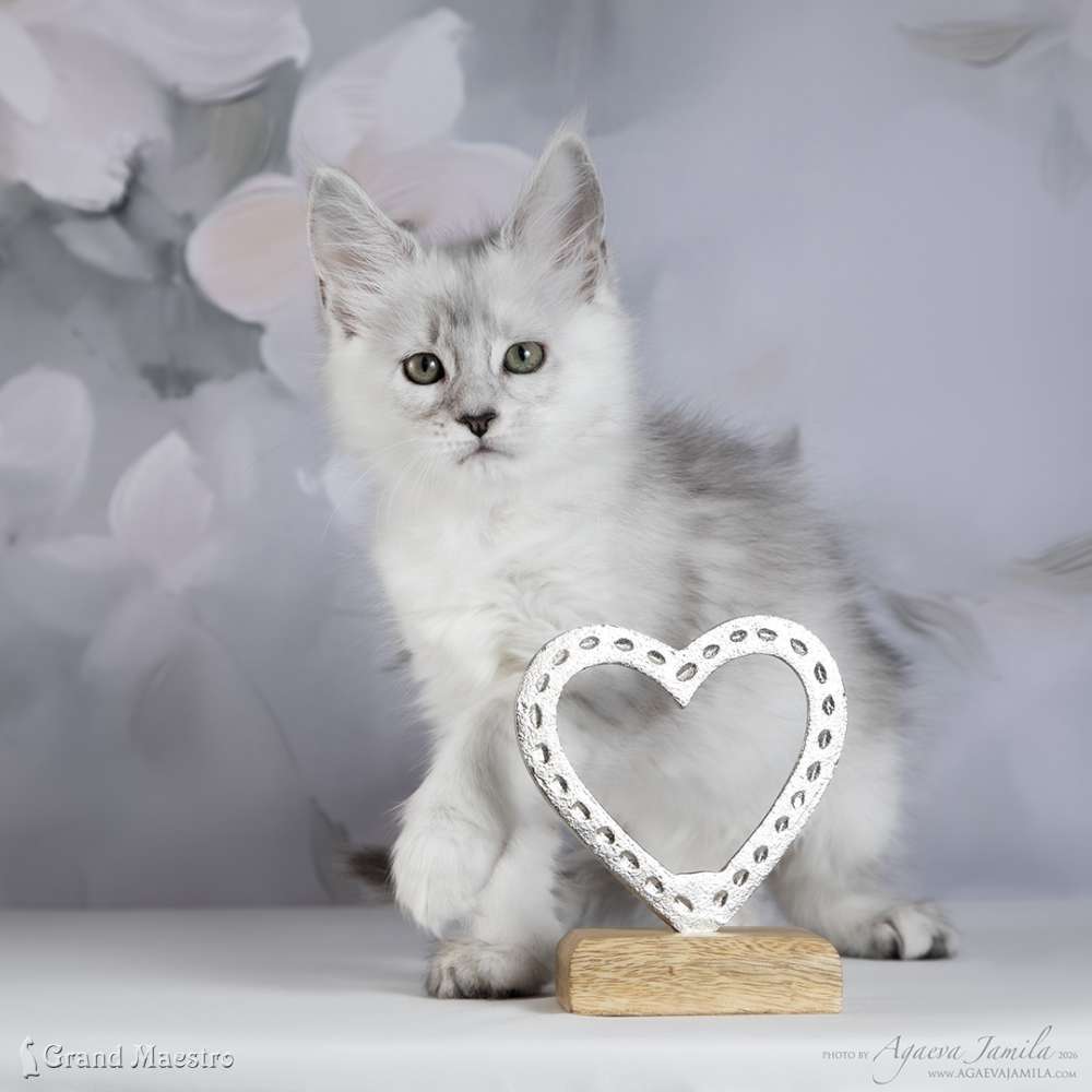 Вивиана, 2 мес.