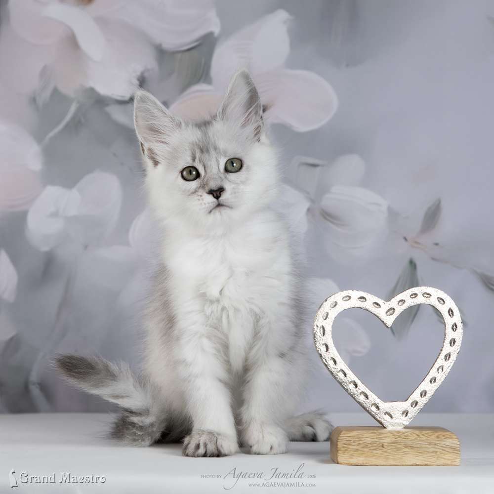Вивиана, 2 мес.