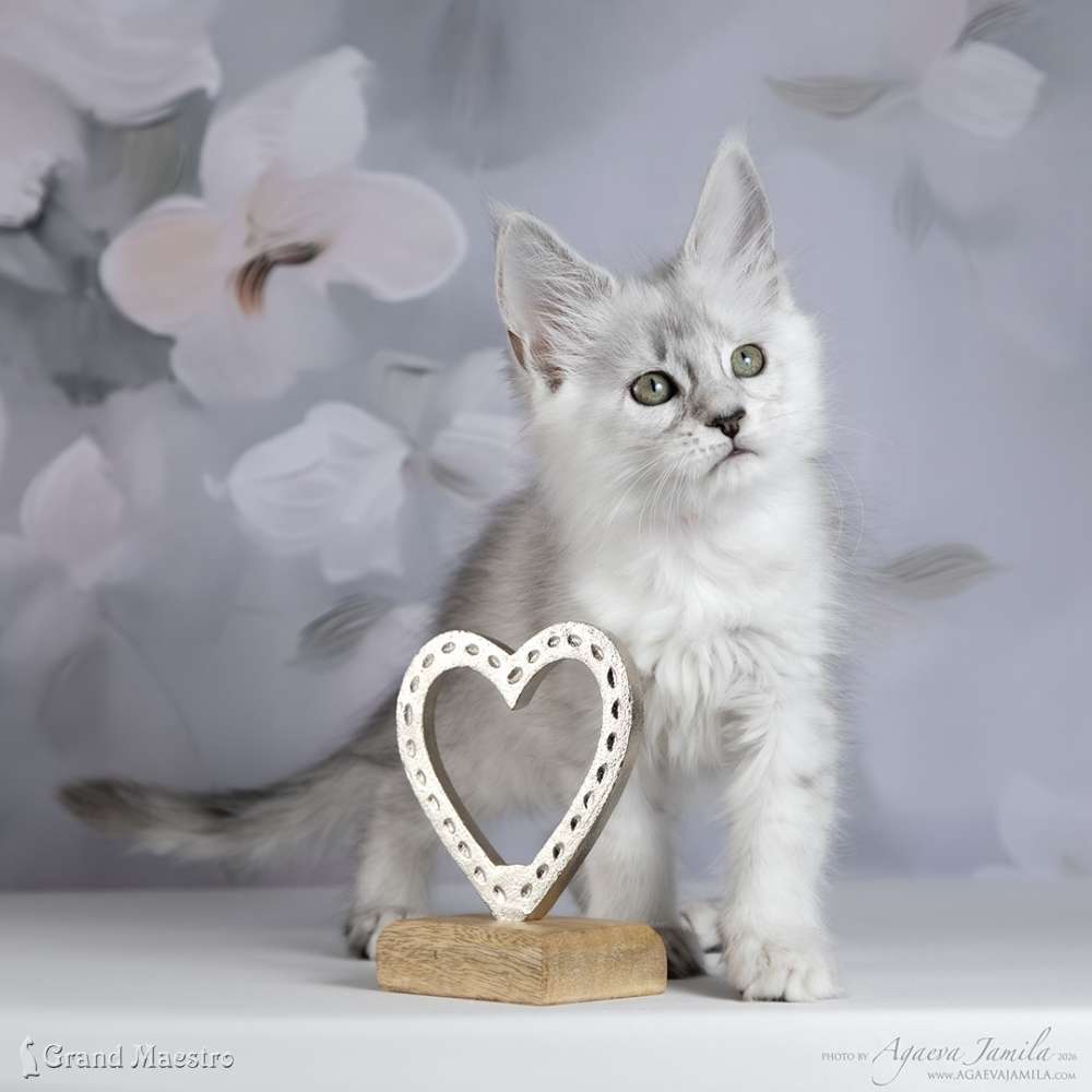 Вивиана, 2 мес.