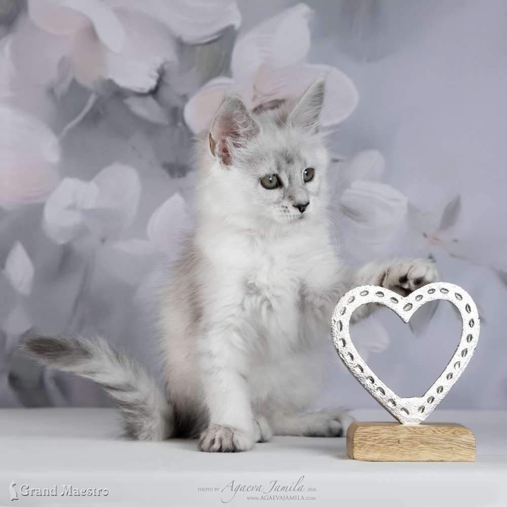Вивиана, 2 мес.