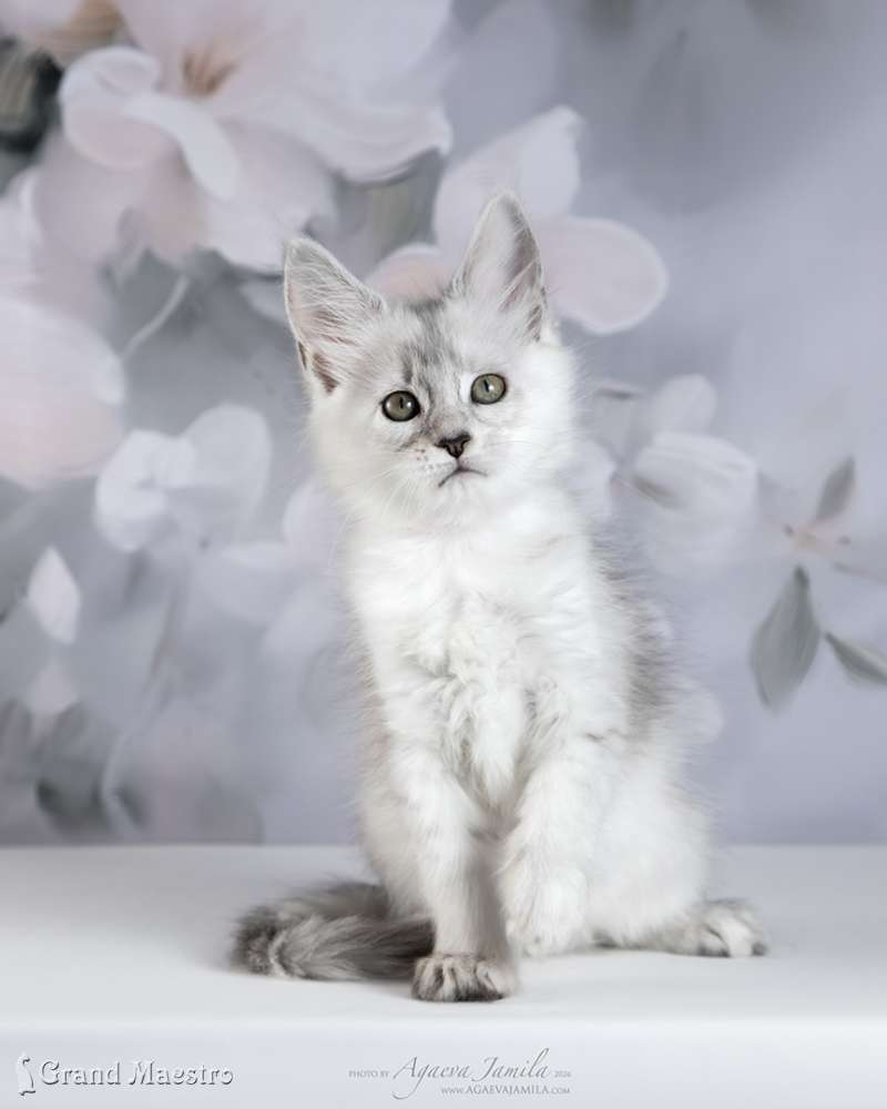 Вивиана, 2 мес.