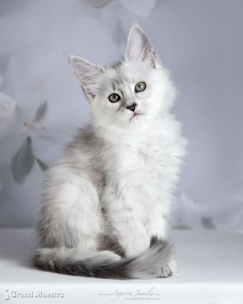 Вивиана, 2 мес.