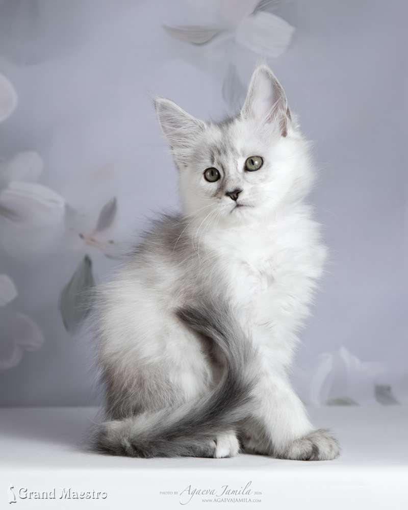 Вивиана, 2 мес.
