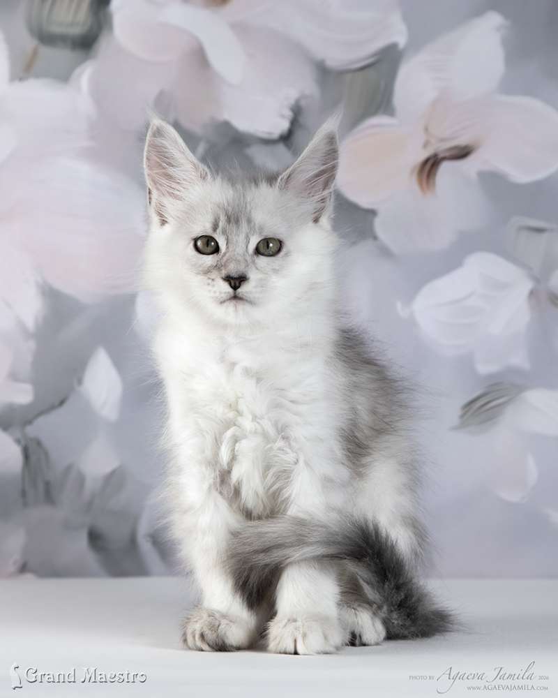 Вивиана, 2 мес.