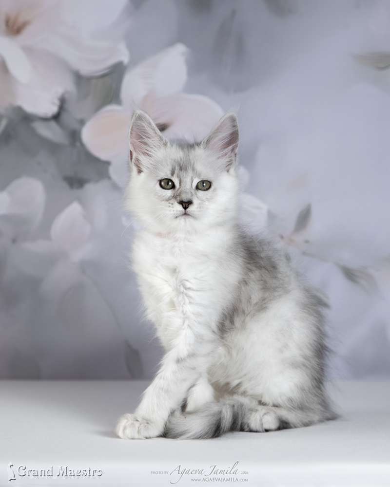 Вивиана, 2 мес.